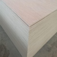 18 mm Bintangor veneer double face poplar core commercial plywood