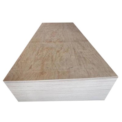 Cheap Plywood For Sale/Red Hardwood Plywood/Packing Grade Plywood